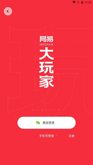 网易大玩家