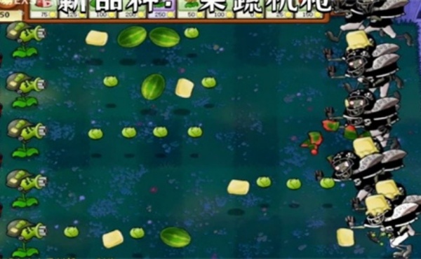 植物大战僵尸繁琐版