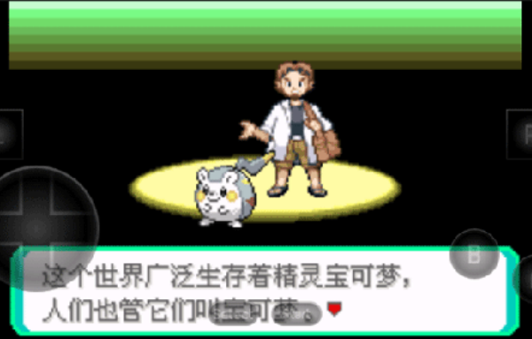 口袋妖怪究极绿宝石5