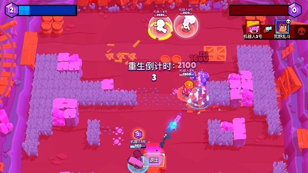 荒野乱斗国际服