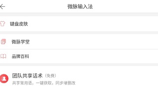 微脉输入法