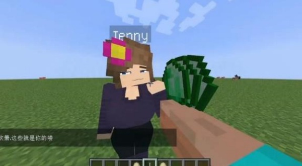 Jenny Mod