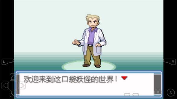 口袋妖怪永恒之焱