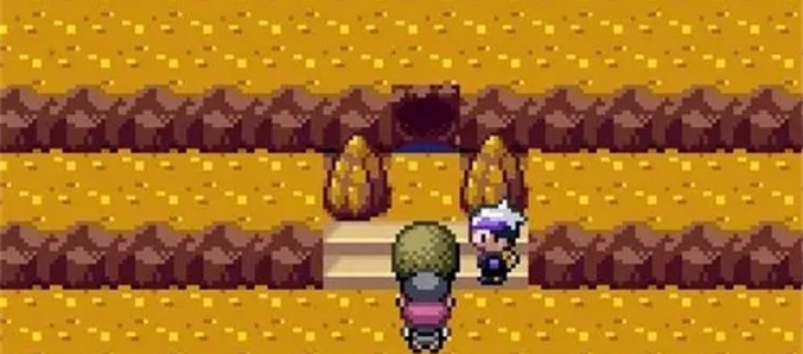 口袋妖怪漆黑的魅影5.0EX+BW