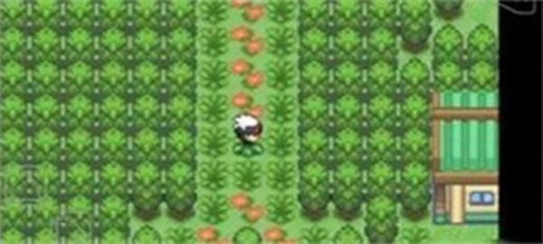 口袋妖怪究极绿宝石4.b小智版