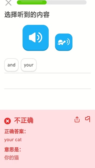 Duolingo