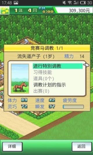 赛马牧场物语最新版