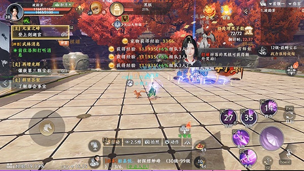 天龙八部2飞龙战天