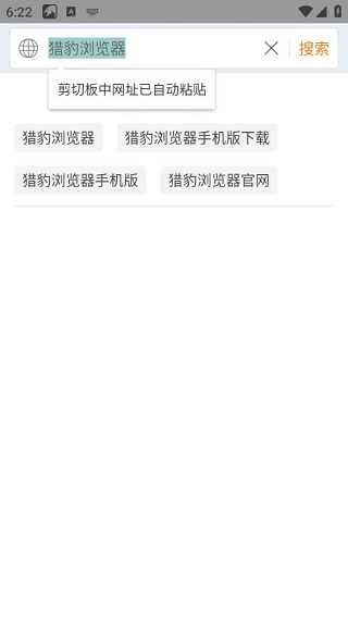 猎豹浏览器