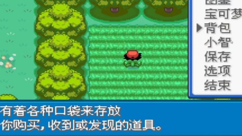 口袋妖怪圣灰汉化最终版