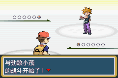 口袋妖怪叶绿中文珍藏版