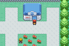 口袋妖怪叶绿中文珍藏版