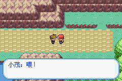 口袋妖怪叶绿中文珍藏版