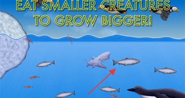 美味深蓝2鲨鱼版