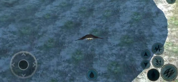 终极雄鹰模拟器