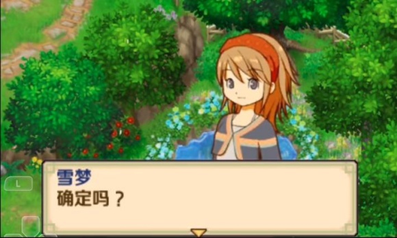 牧场物语双子村