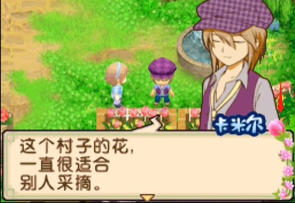 牧场物语双子村