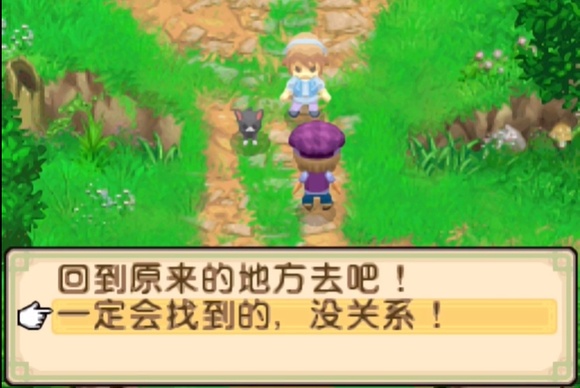 牧场物语双子村