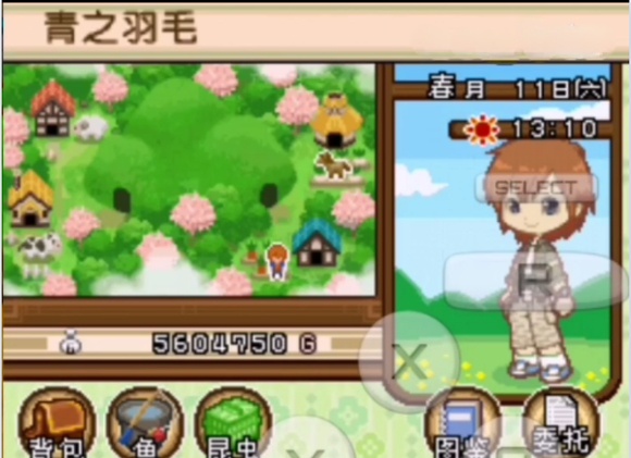 牧场物语双子村