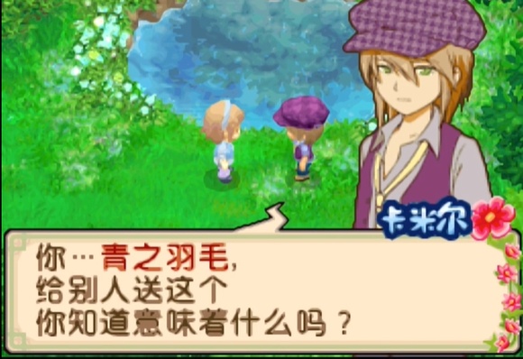 牧场物语双子村