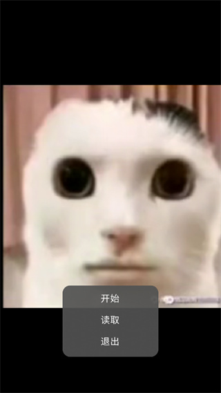 猫咪惊魂