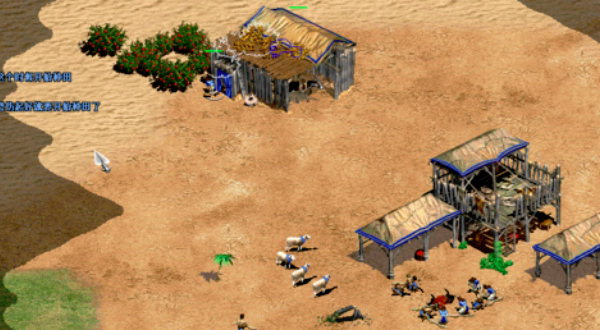 帝国时代2征服者