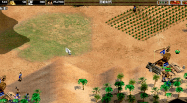帝国时代2征服者