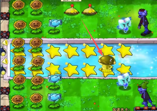 植物大战僵尸杨桃版