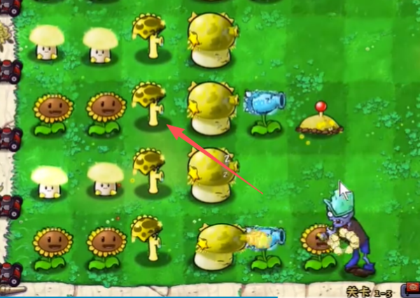 植物大战僵尸杨桃版