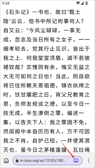 石头阅读浏览器